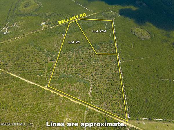 58.2 Acres of Land for Sale in Florahome, Florida