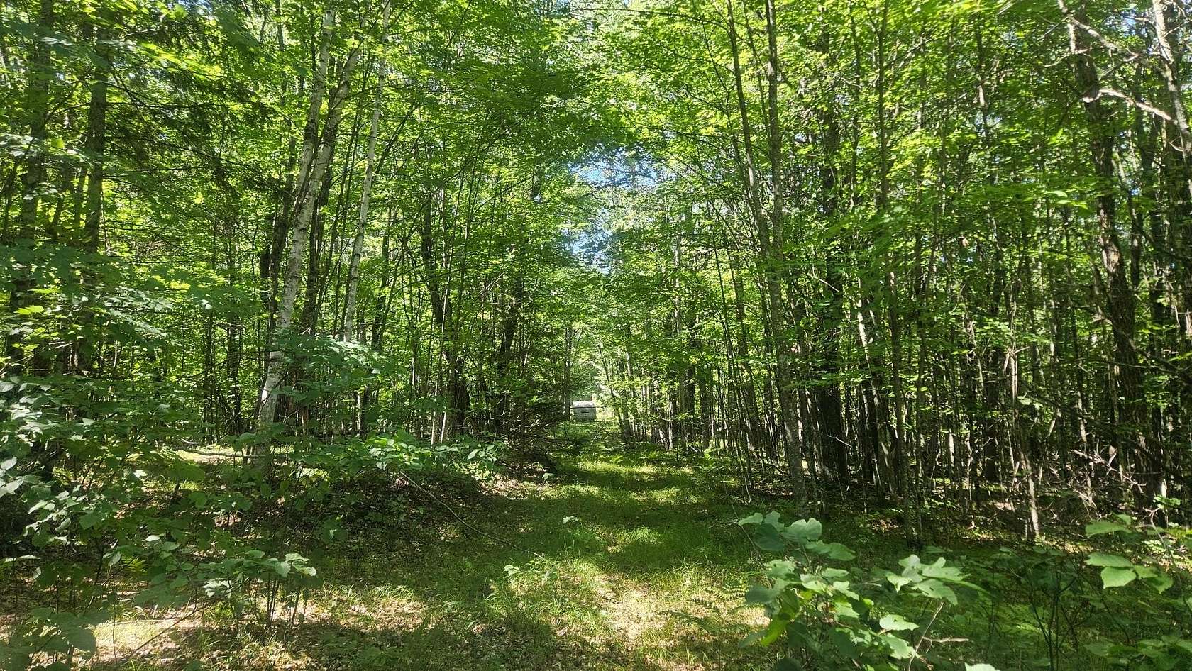 2 Acres of Land for Sale in Amberg, Wisconsin