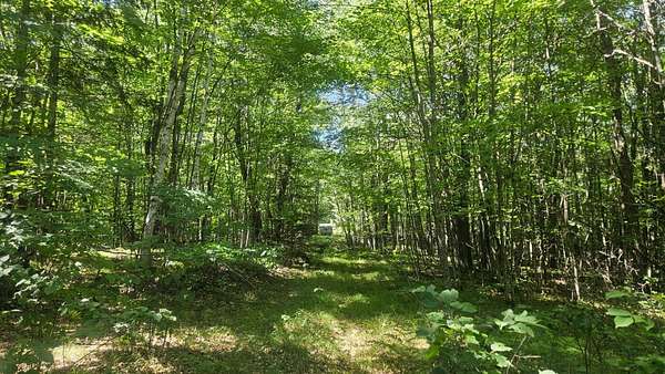 2 Acres of Land for Sale in Amberg, Wisconsin