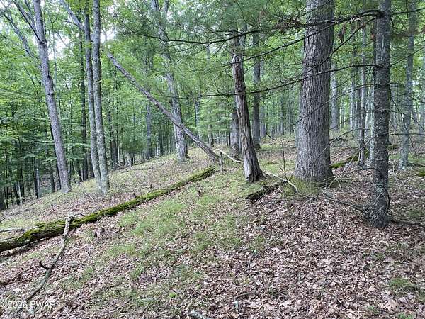 0.81 Acres of Residential Land for Sale in Hawley, Pennsylvania