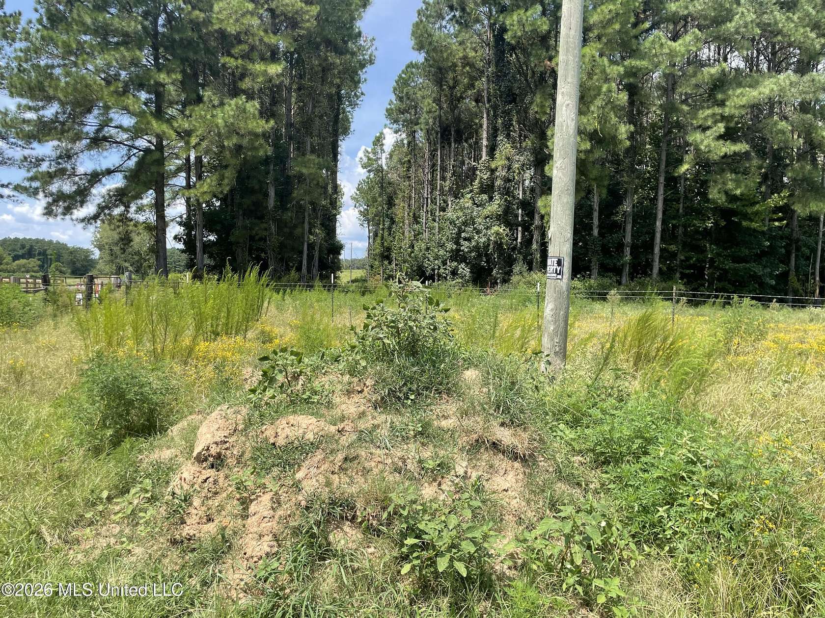14 Acres of Land for Sale in Senatobia, Mississippi