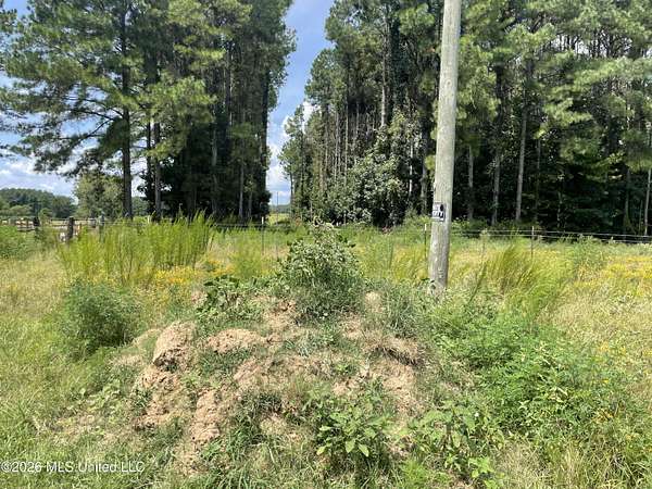 14 Acres of Land for Sale in Senatobia, Mississippi