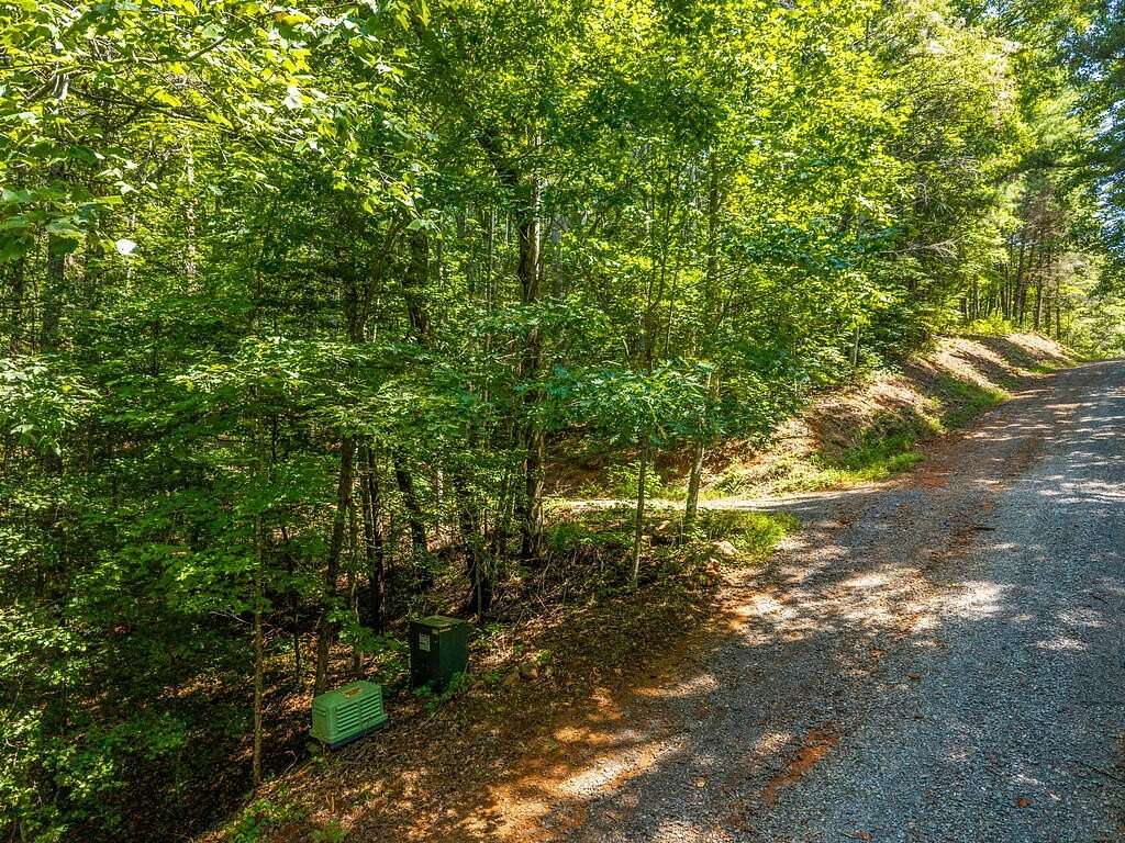 11.1 Acres of Land for Sale in Ellijay, Georgia