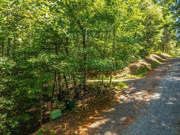 11.1 Acres of Land for Sale in Ellijay, Georgia