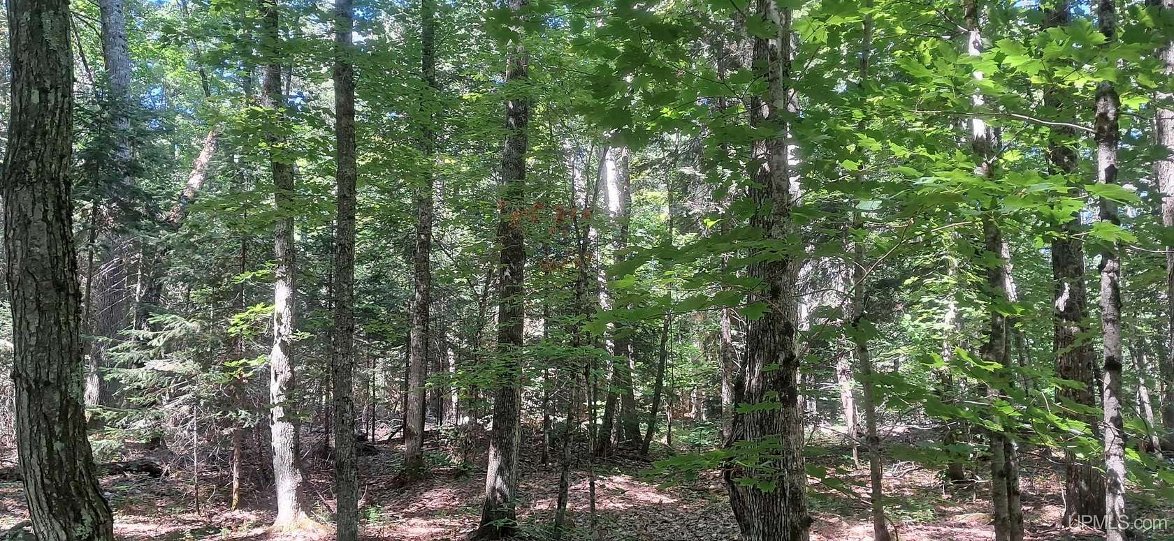 18.7 Acres of Recreational & Residential Land for Sale in Manistique, Michigan