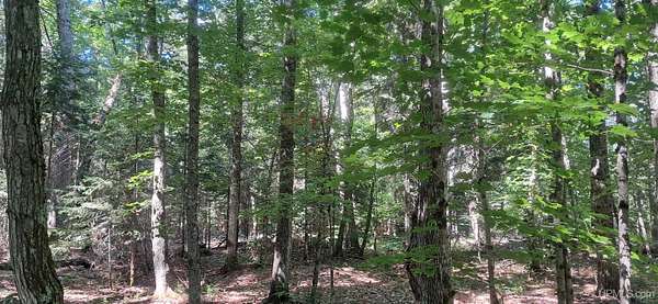 18.7 Acres of Recreational & Residential Land for Sale in Manistique, Michigan
