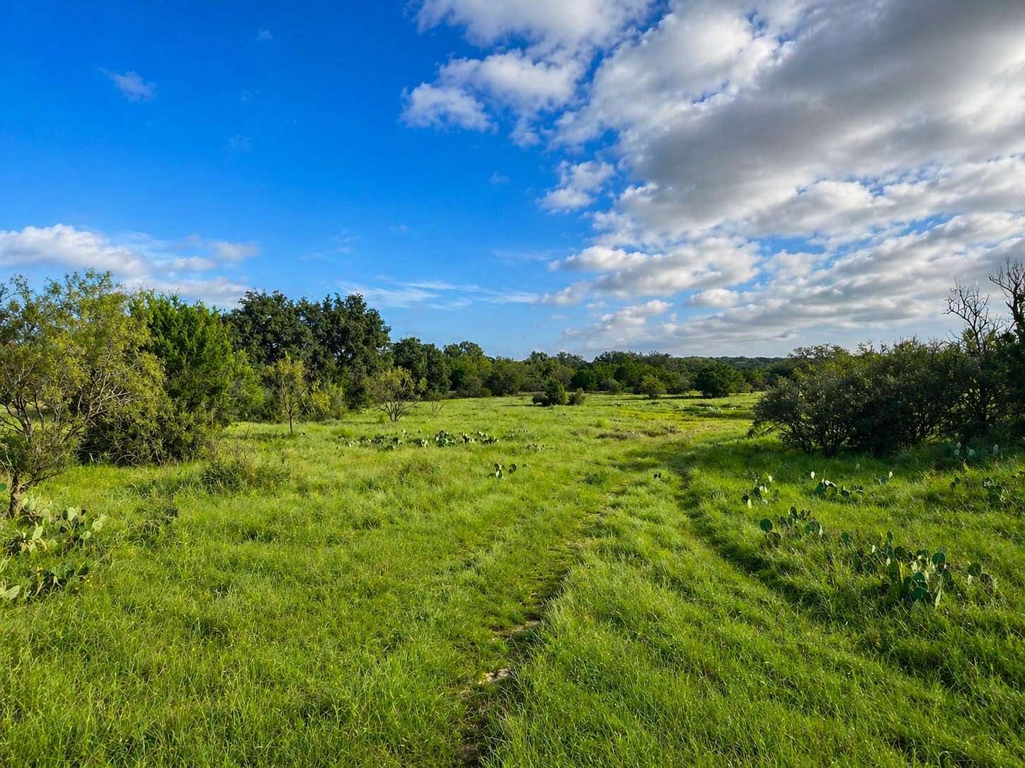 400 Acres of Land for Sale in Voca, Texas