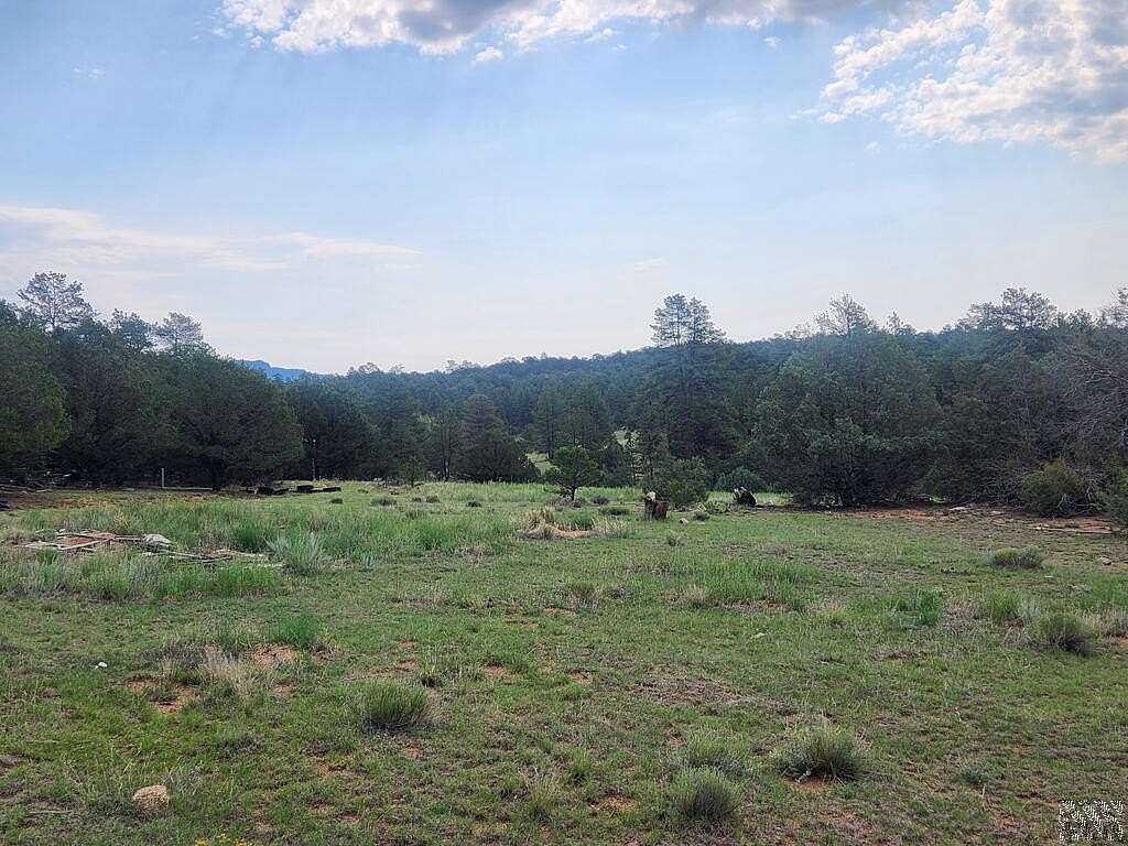 5 Acres of Residential Land for Sale in Texas Creek, Colorado
