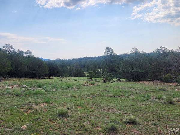 5 Acres of Residential Land for Sale in Texas Creek, Colorado