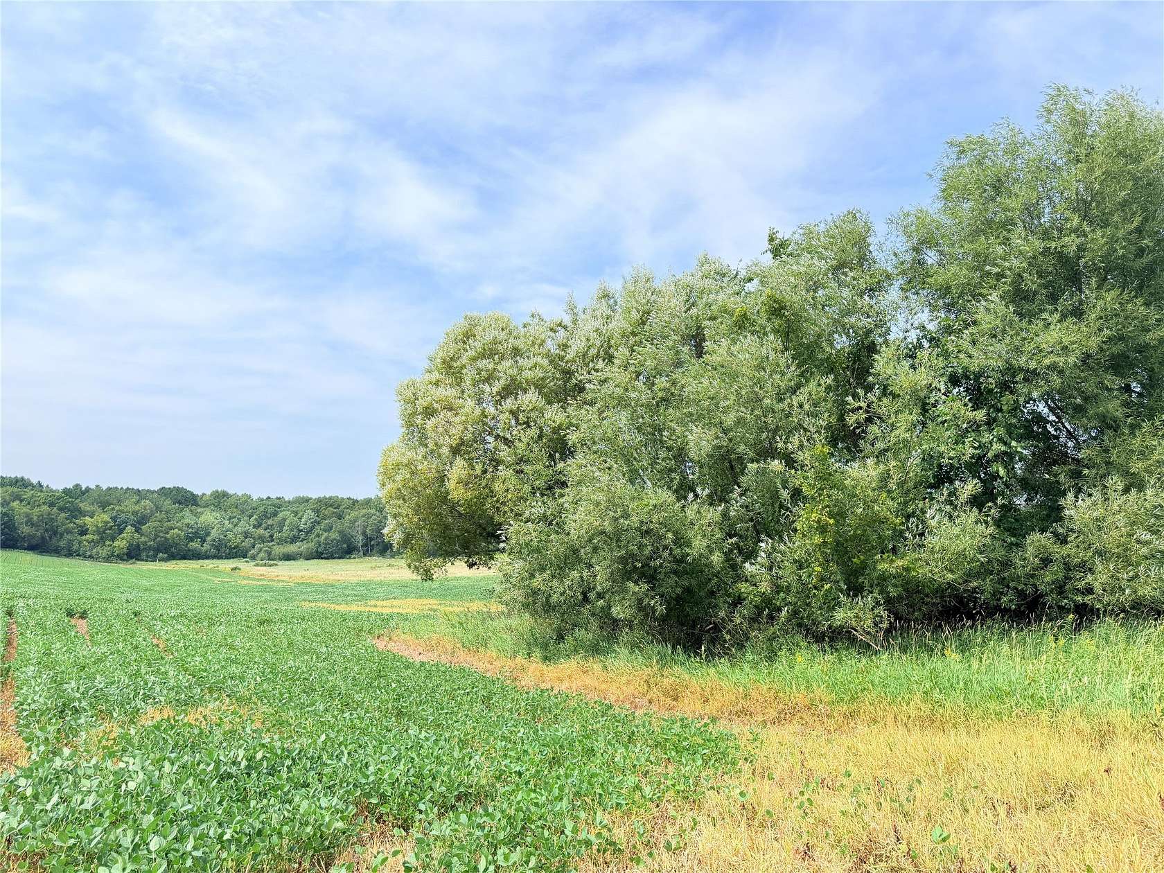 20 Acres of Recreational & Residential Land for Sale in St. Croix Falls, Wisconsin