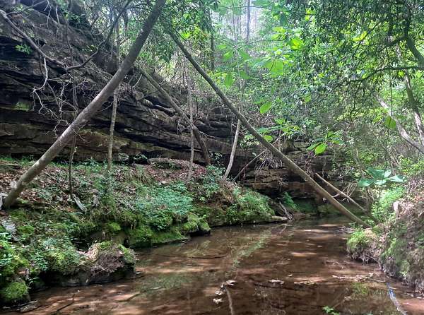 14.8 Acres of Recreational Land for Sale in Nauvoo, Alabama
