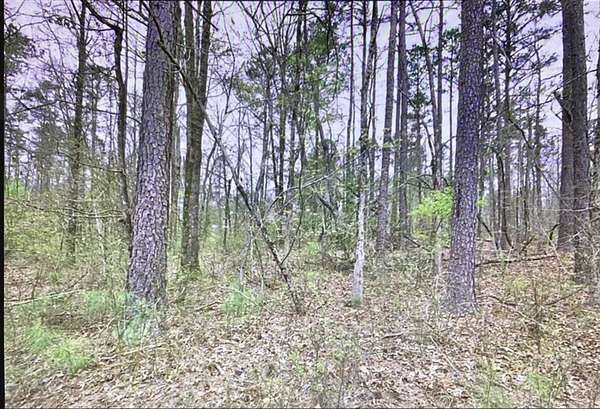 2.8 Acres of Land for Sale in Bonnerdale, Arkansas