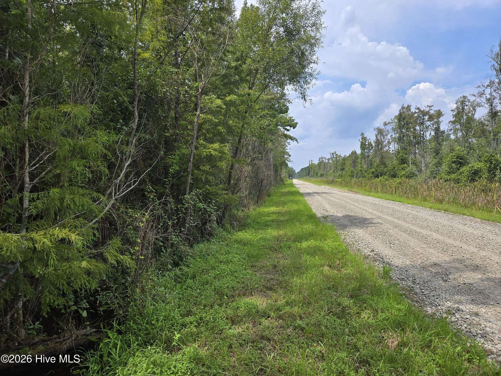 275 Acres of Recreational Land for Sale in Columbia, North Carolina