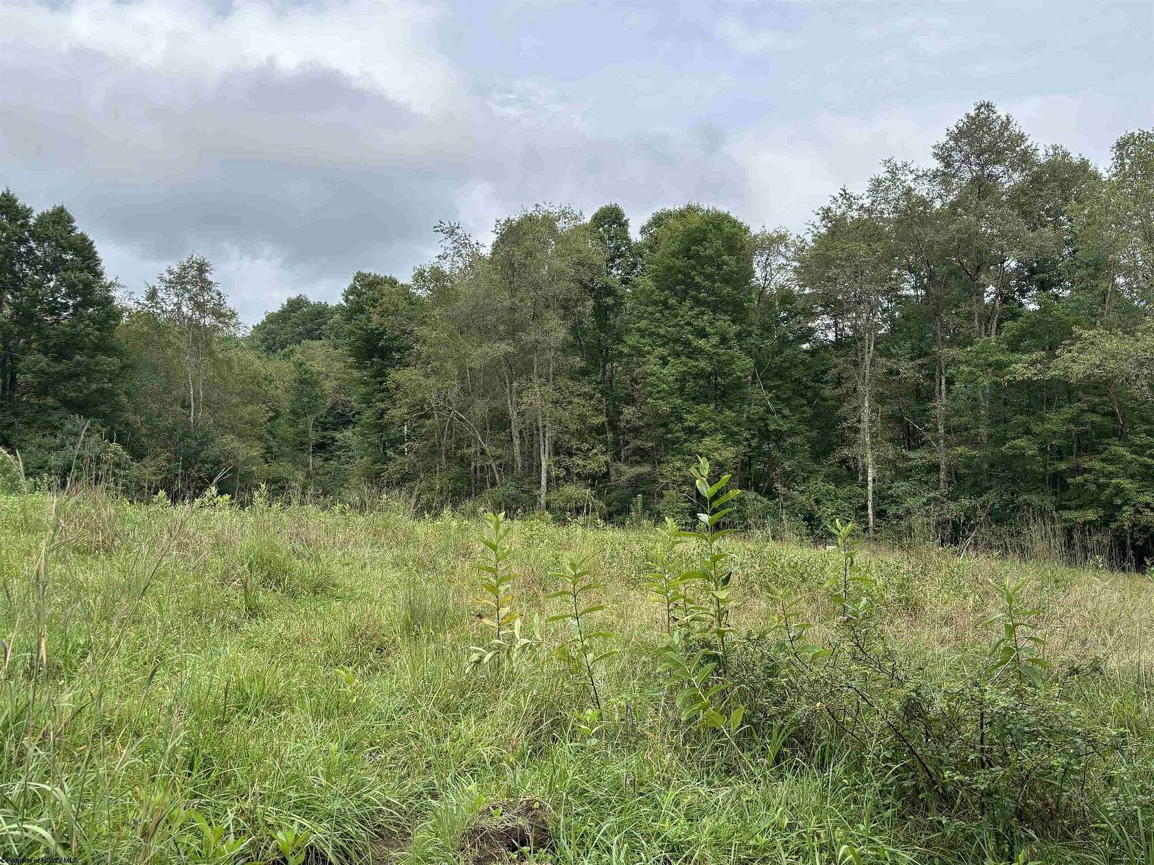 67 Acres of Recreational & Residential Land for Sale in Belington, West Virginia