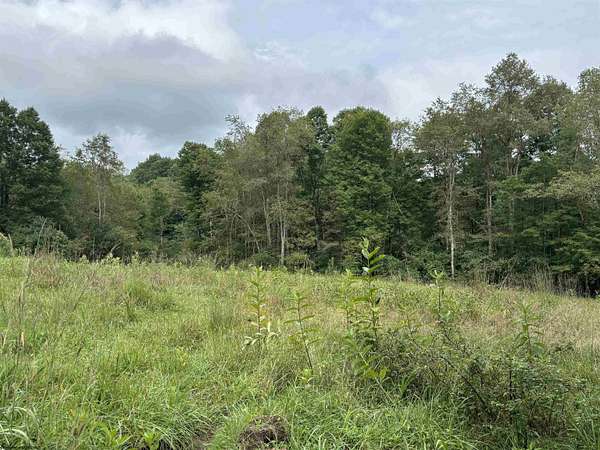 67 Acres of Recreational & Residential Land for Sale in Belington, West Virginia