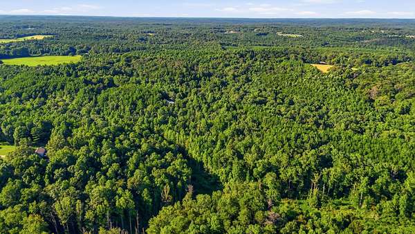 23 Acres of Recreational & Residential Land for Sale in Double Springs, Alabama