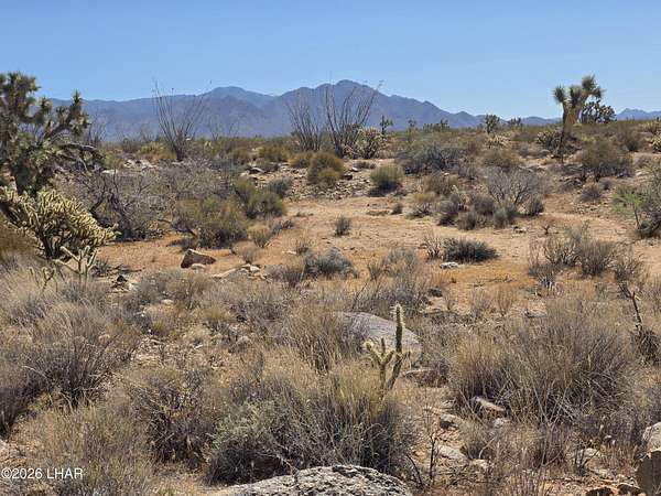 1.1 Acres of Land for Sale in Yucca, Arizona