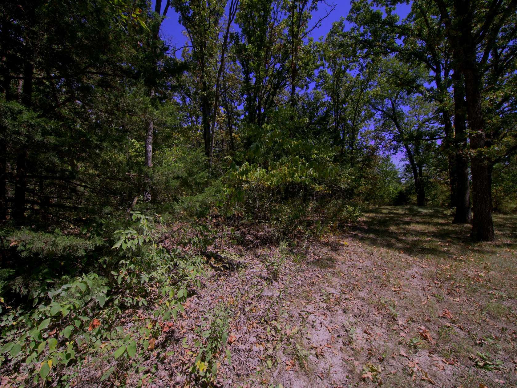 8.77 Acres of Residential Land for Sale in Urbana, Missouri
