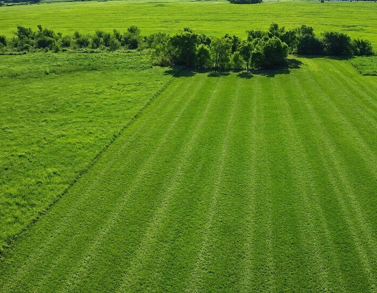 4 Acres of Residential Land for Sale in Pecan Gap, Texas