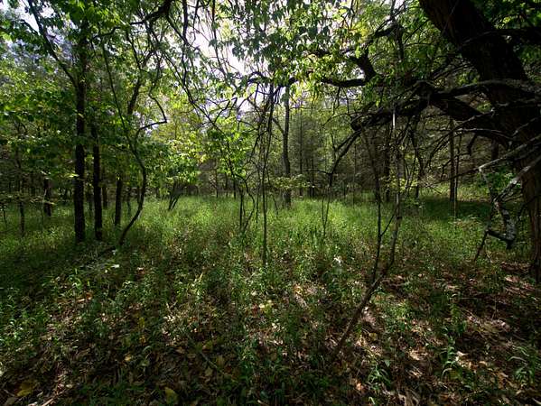 10 Acres of Recreational & Residential Land for Sale in Urbana, Missouri