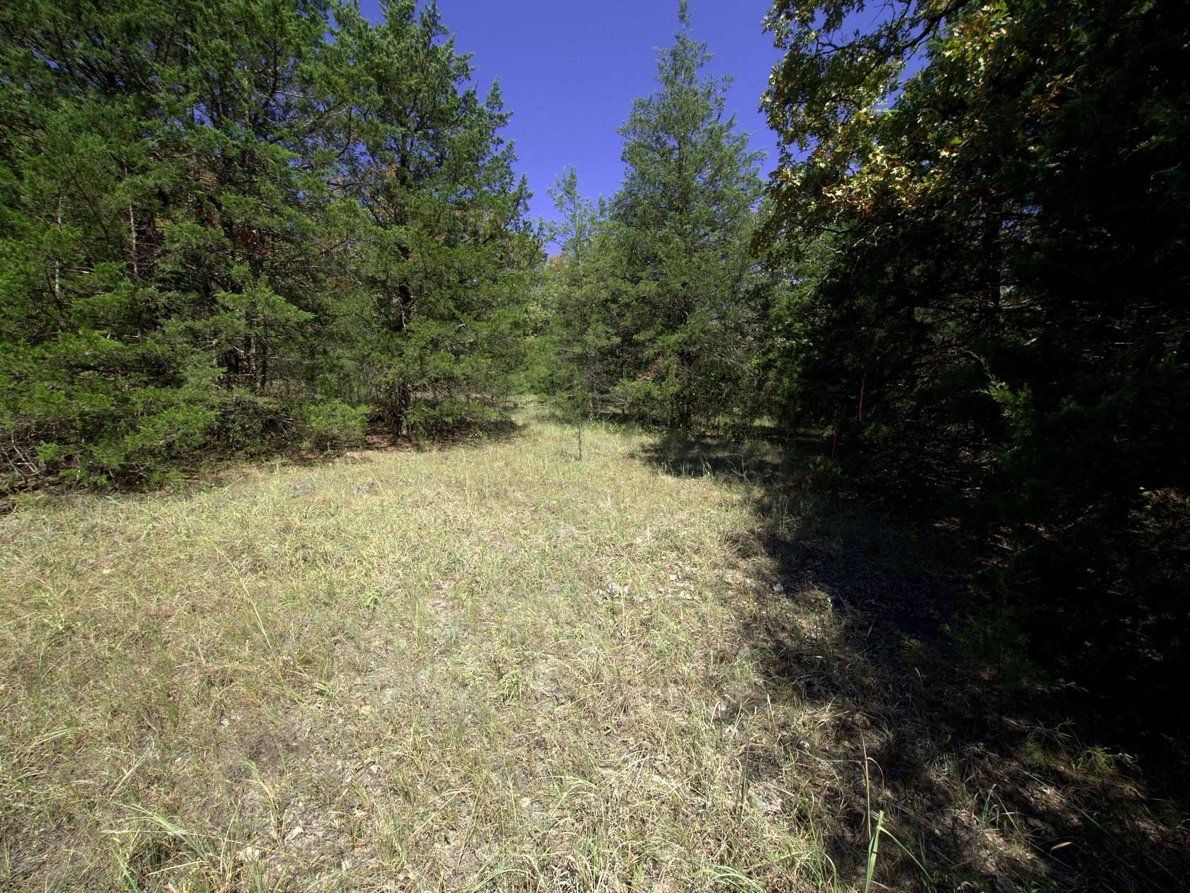 14.4 Acres of Recreational & Residential Land for Sale in Urbana, Missouri