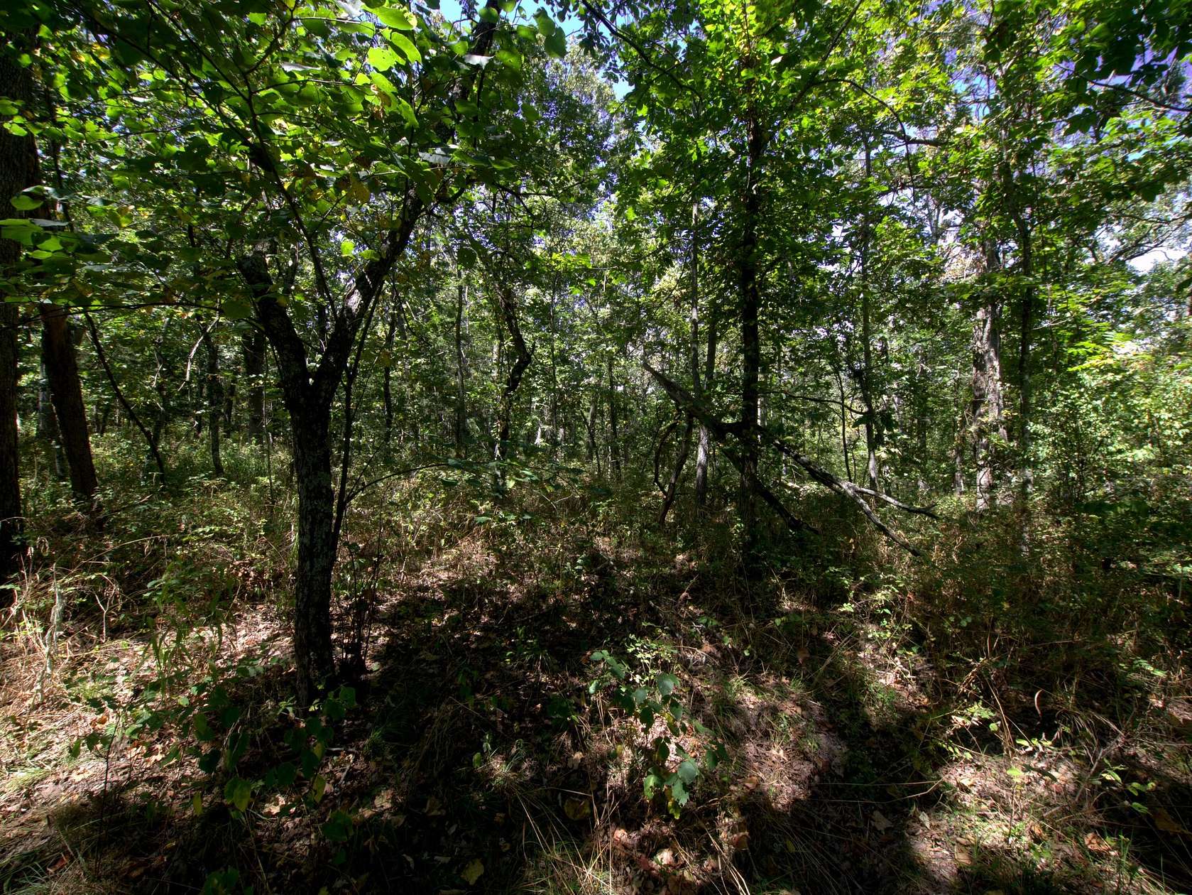 18.8 Acres of Recreational & Residential Land for Sale in Urbana, Missouri