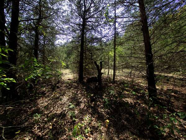 19.3 Acres of Recreational & Residential Land for Sale in Urbana, Missouri