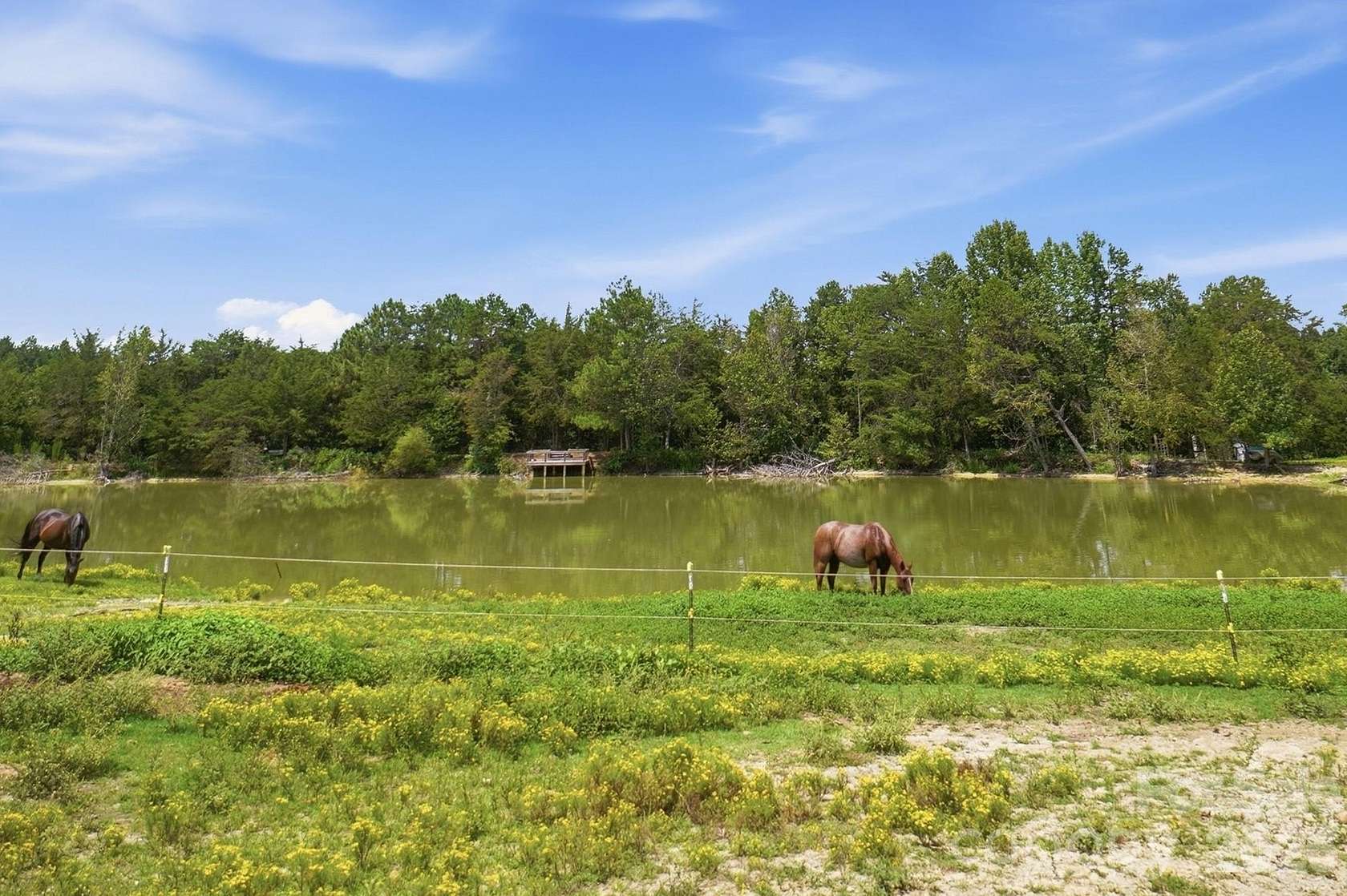 7.6 Acres of Land with Home for Sale in Gastonia, North Carolina