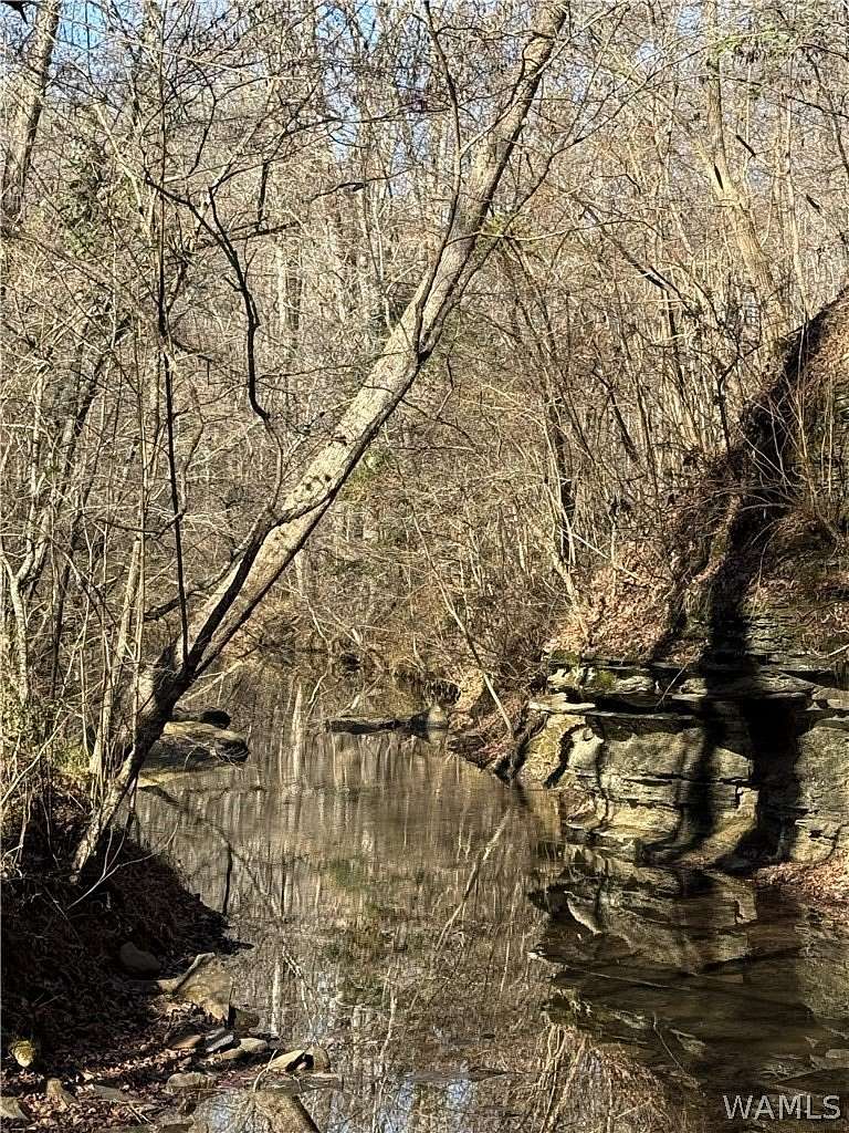 427 Acres of Land for Sale in Berry, Alabama