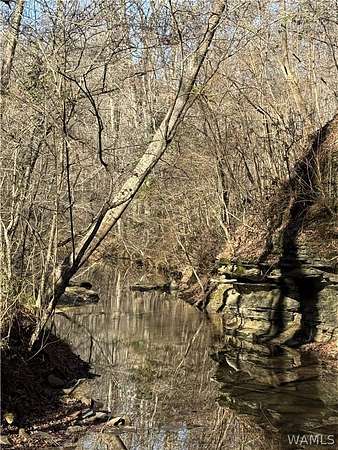 427 Acres of Land for Sale in Berry, Alabama