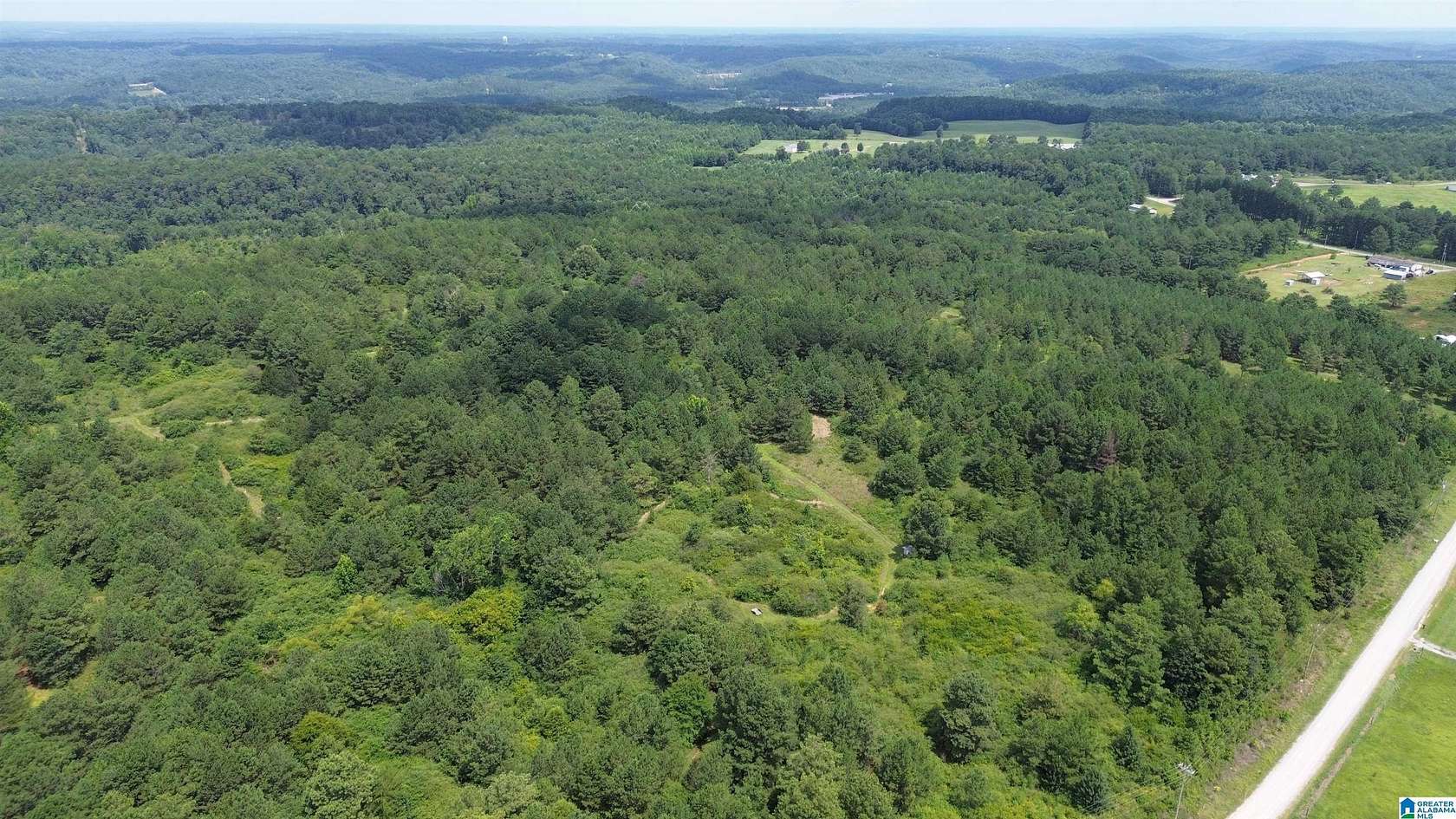 51.8 Acres of Recreational Land for Sale in Bremen, Alabama