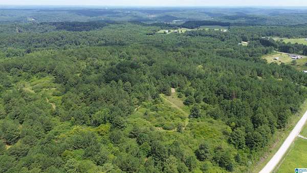 51.8 Acres of Recreational Land for Sale in Bremen, Alabama
