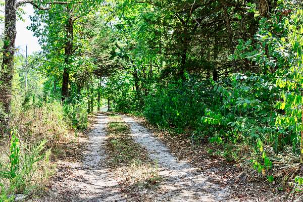 36 Acres of Land with Home for Sale in Ash Flat, Arkansas