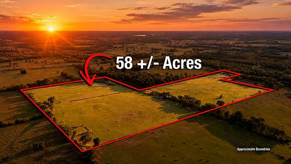 58.4 Acres of Land for Sale in Winnsboro, Texas