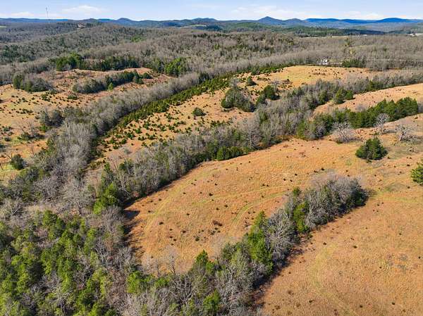 40 Acres of Land for Sale in Gainesville, Missouri