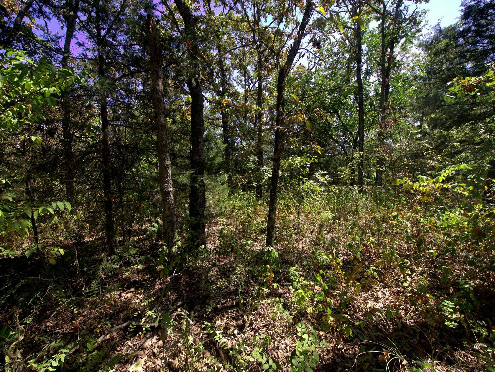 24.4 Acres of Recreational & Residential Land for Sale in Urbana, Missouri