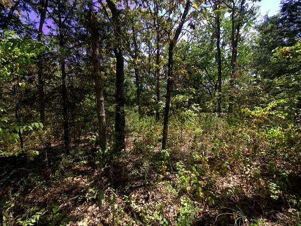 24.4 Acres of Recreational & Residential Land for Sale in Urbana, Missouri