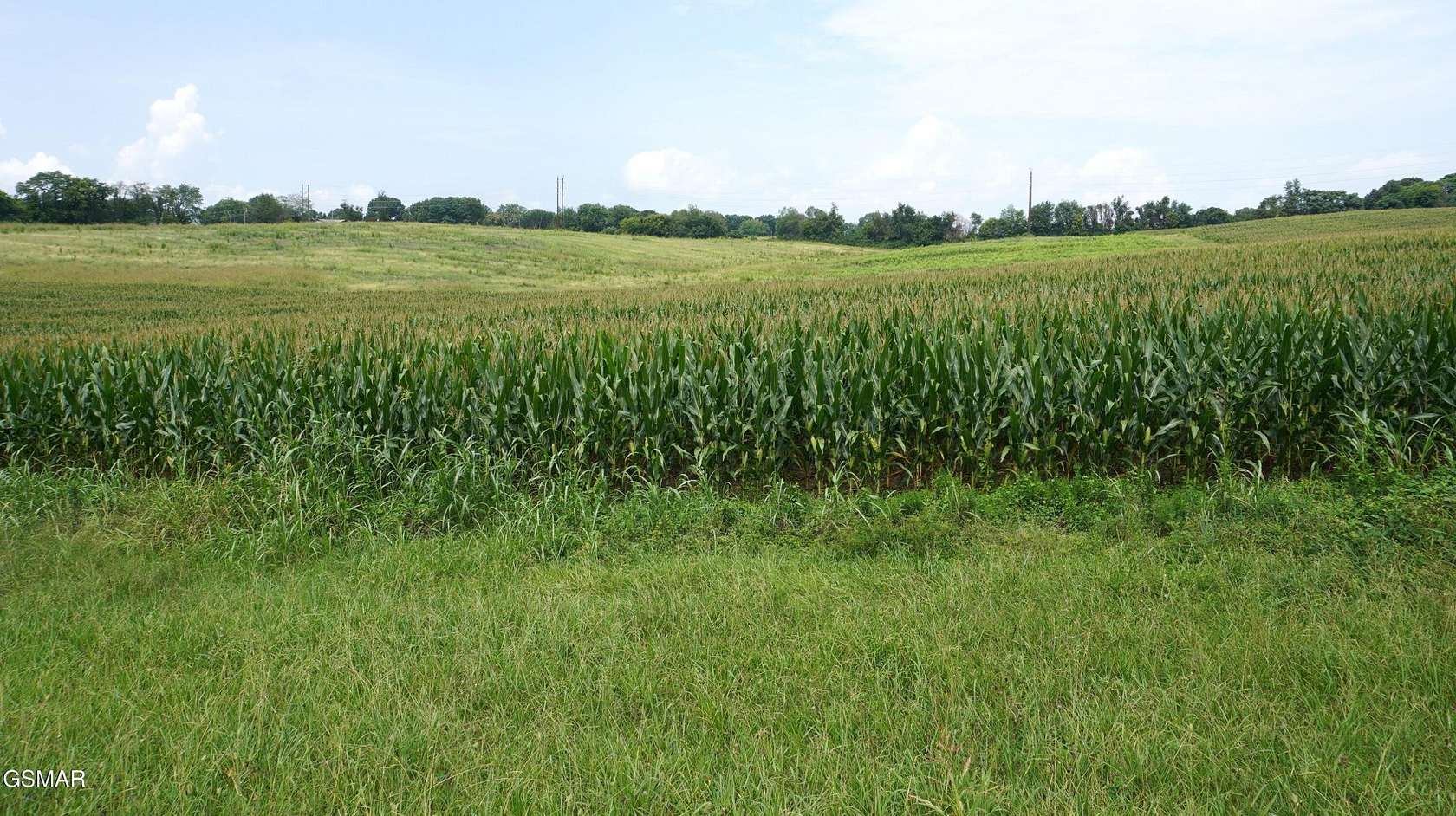 6 Acres of Commercial Land for Sale in Talbott, Tennessee