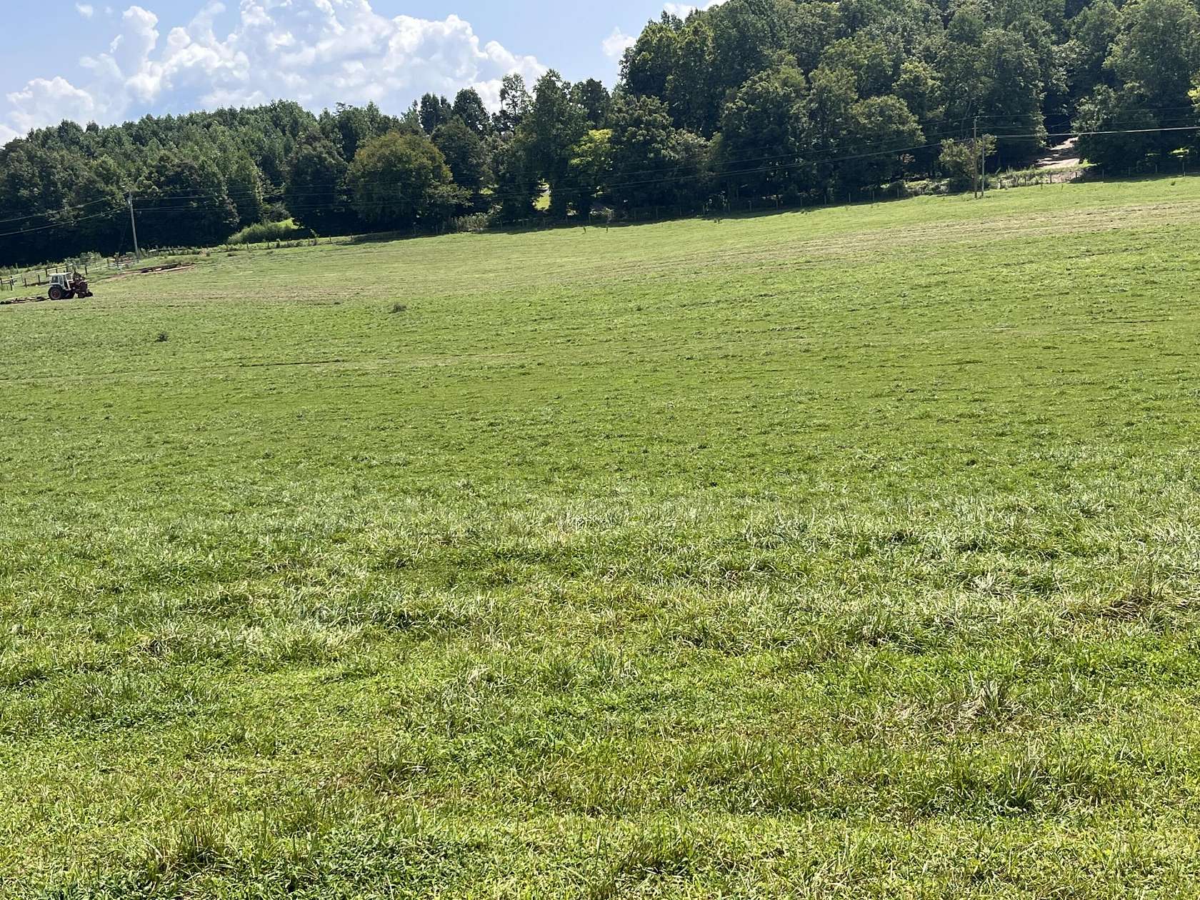 113 Acres of Land for Sale in Delano, Tennessee