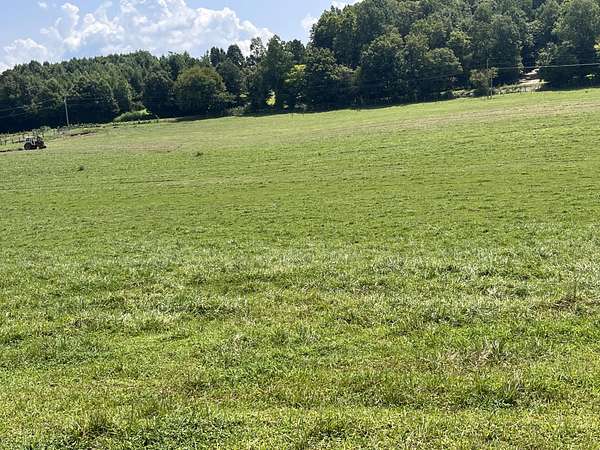 113 Acres of Land for Sale in Delano, Tennessee