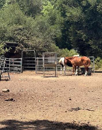 4.53 Acres of Land with Home for Sale in Glen Ellen, California