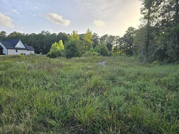 1.32 Acres of Residential Land for Sale in Lumberton, Texas
