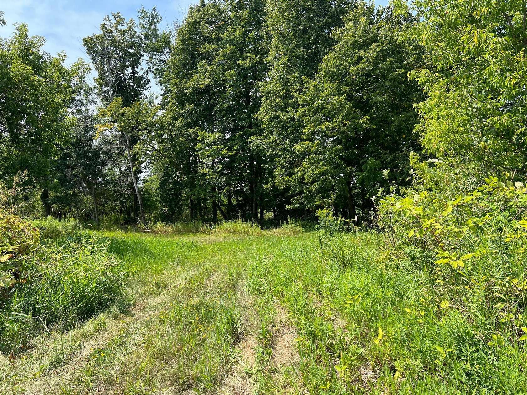 20 Acres of Recreational Land for Sale in Hinckley, Minnesota