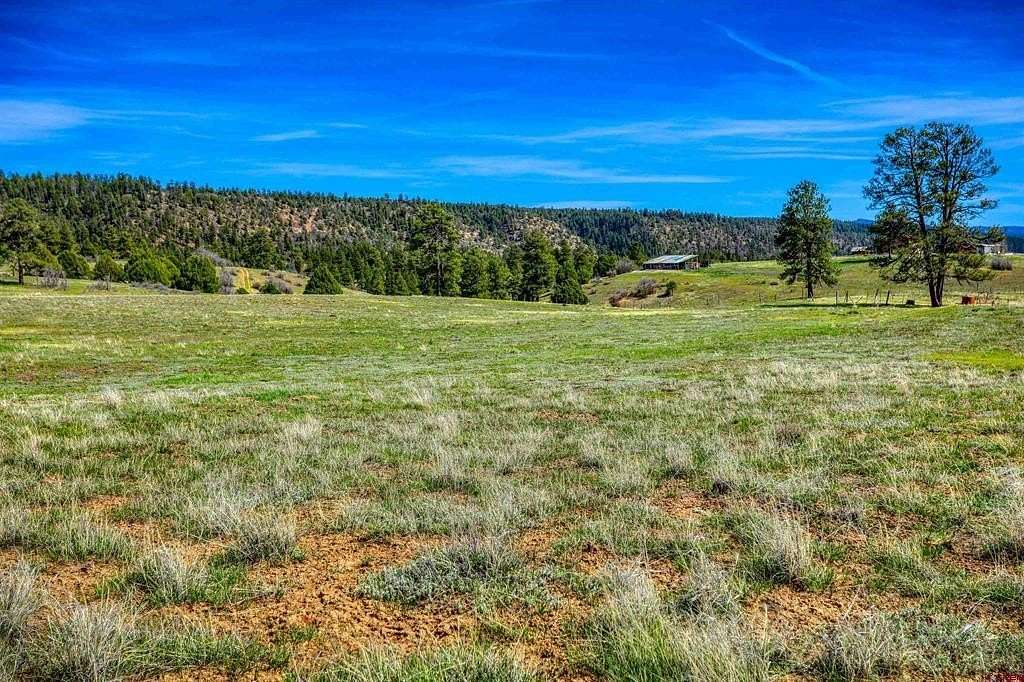 80 Acres of Recreational Land for Sale in Pagosa Springs, Colorado