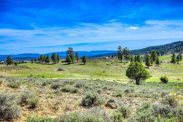 80 Acres of Recreational Land for Sale in Pagosa Springs, Colorado