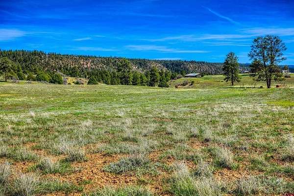 80 Acres of Recreational Land for Sale in Pagosa Springs, Colorado
