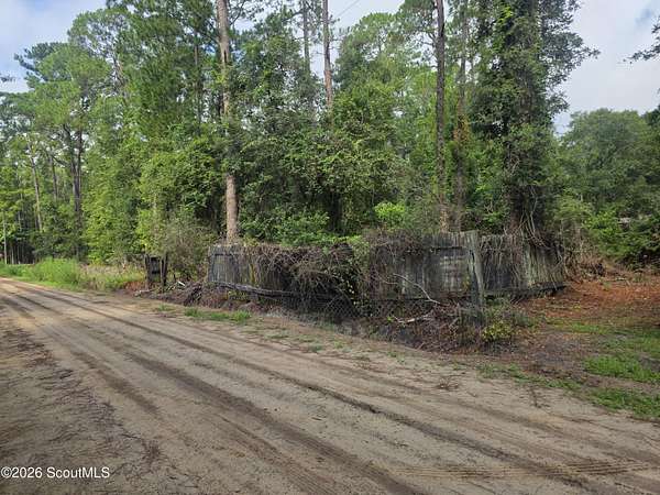 0.95 Acres of Land for Sale in Hortense, Georgia