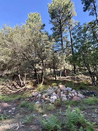 0.5 Acres of Land for Sale in Payson, Arizona