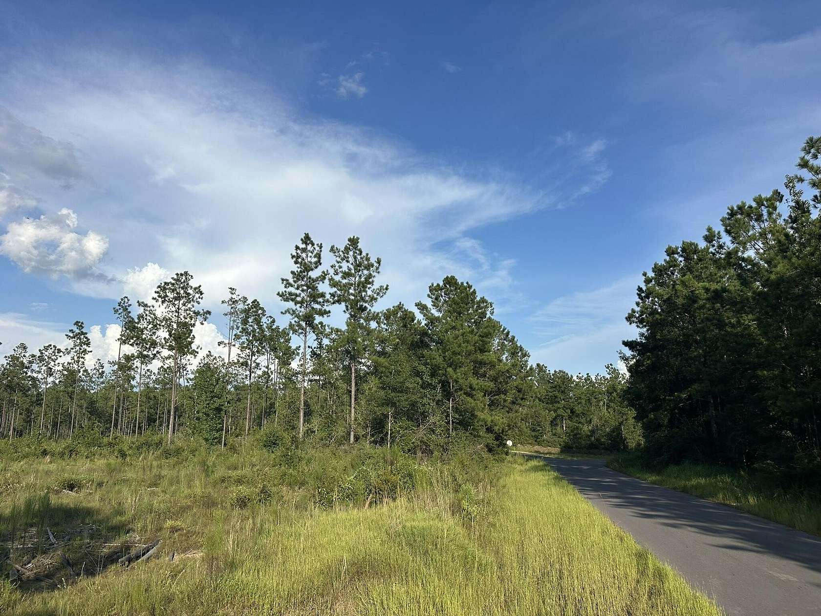 18.3 Acres of Recreational Land for Sale in Baker, Florida