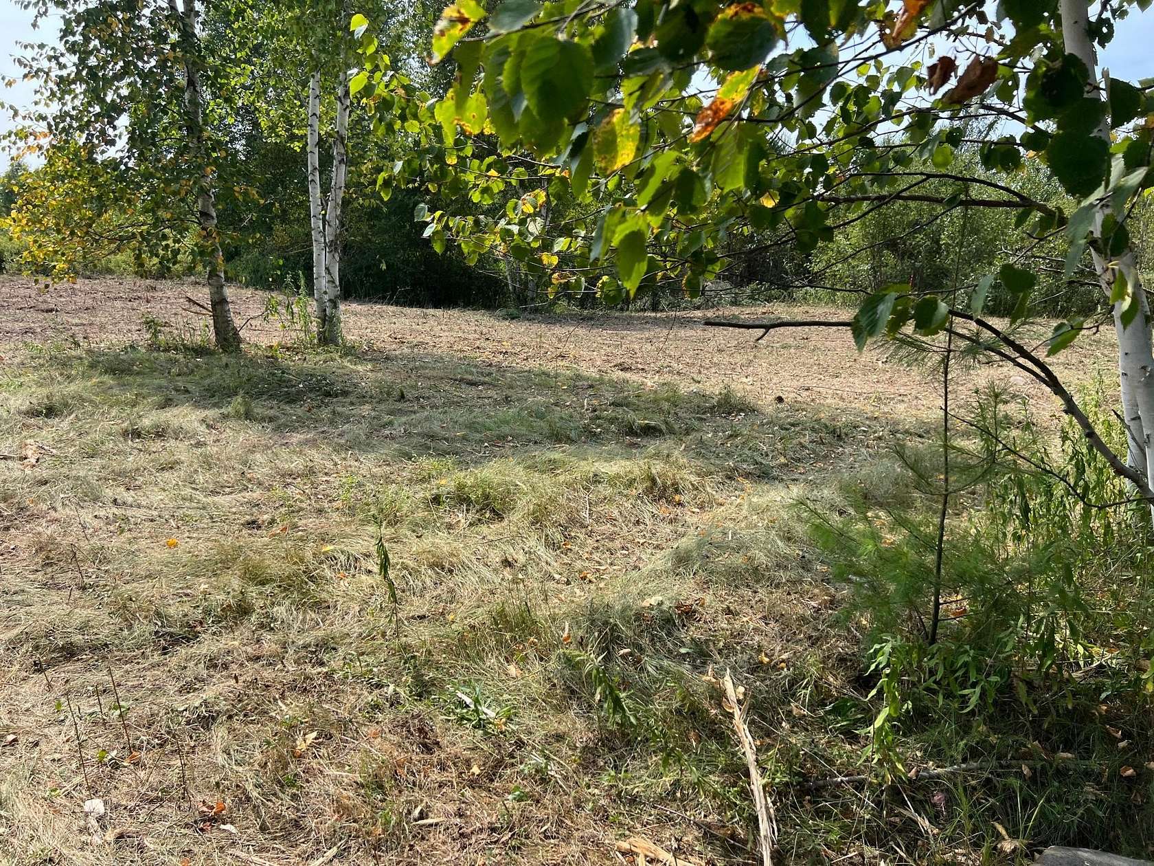 20 Acres of Recreational Land for Sale in Hinckley, Minnesota